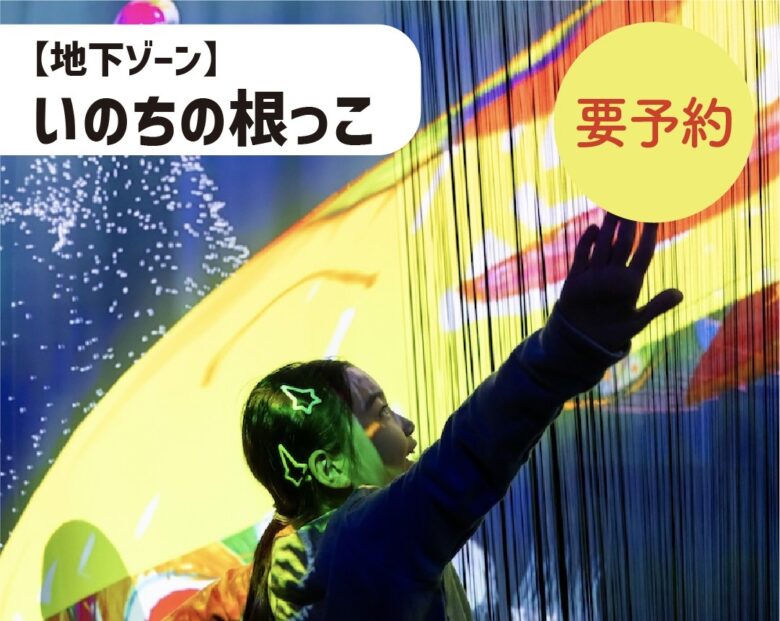 大阪万博　いのちの根っこ